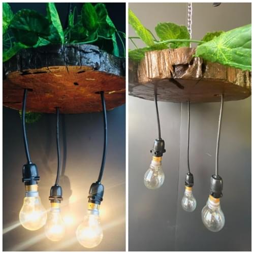 Inter National Institute of Fashion Design Raipur Activities photo 35